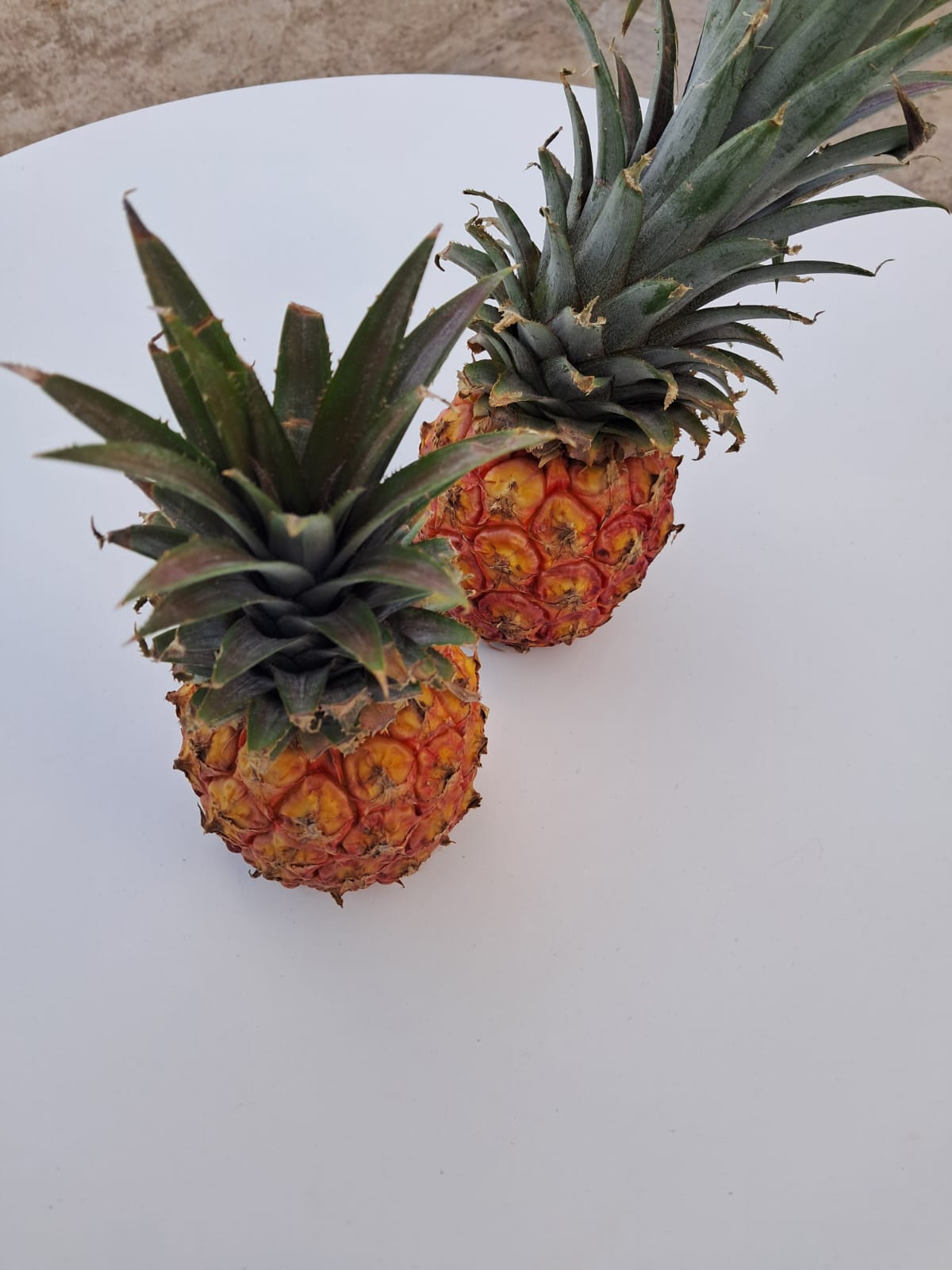 Ocean View from Villa