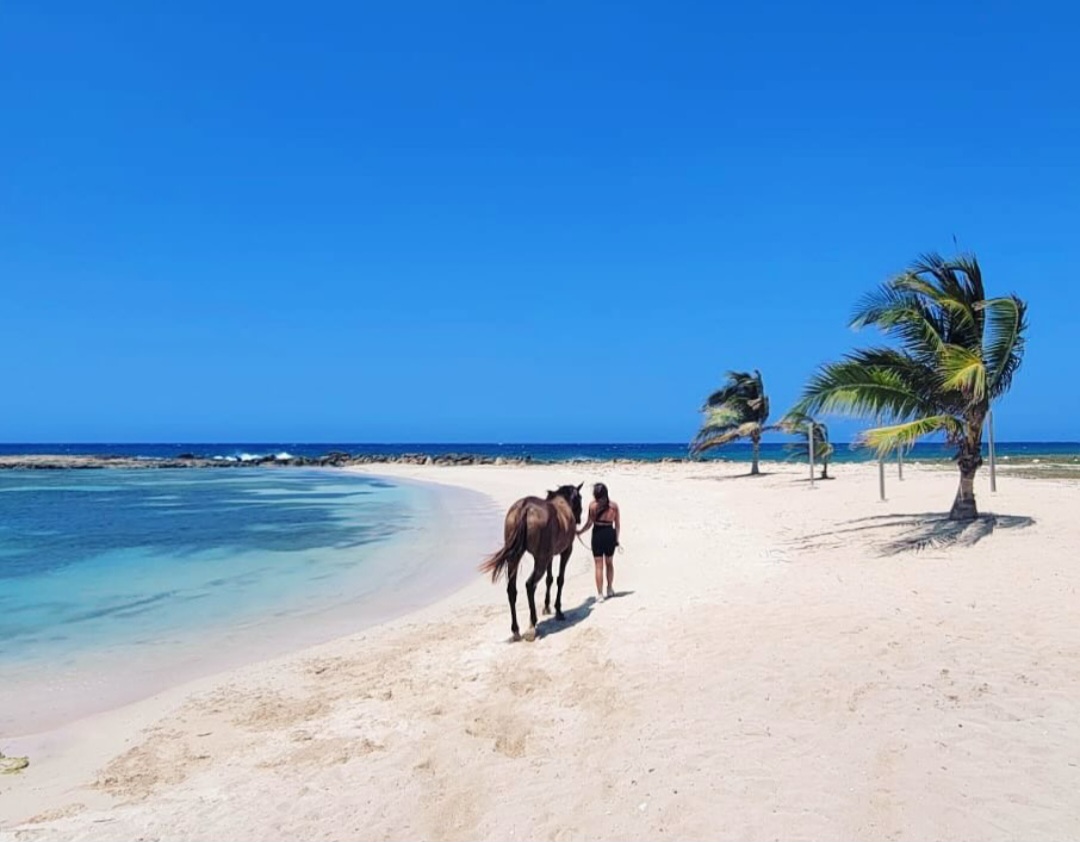 Blue Song Villa Video Tour